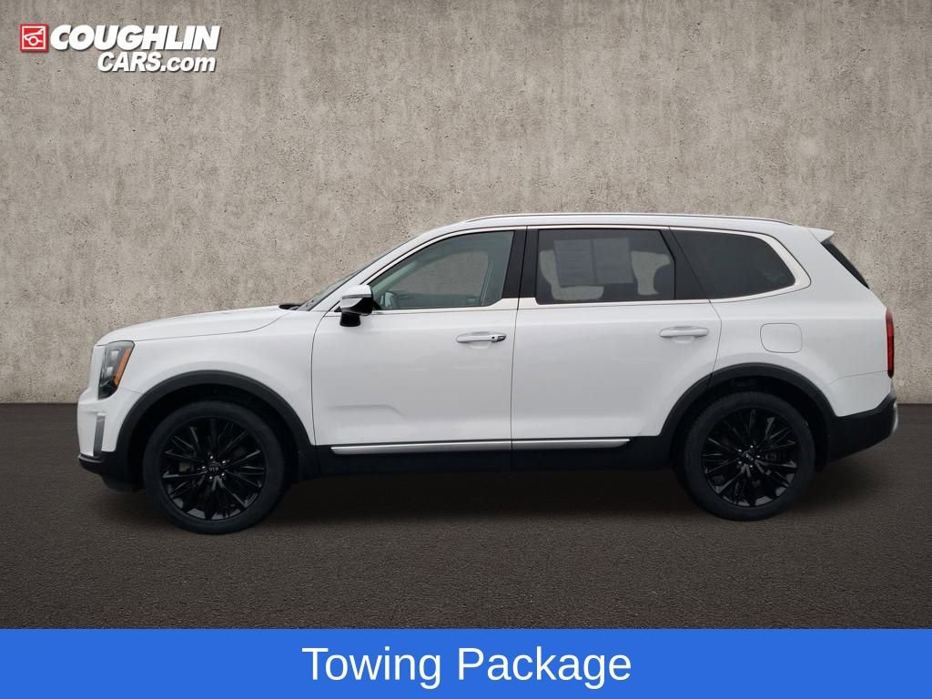 Used 2021 Kia Telluride SX w/ SX Prestige Package image 5