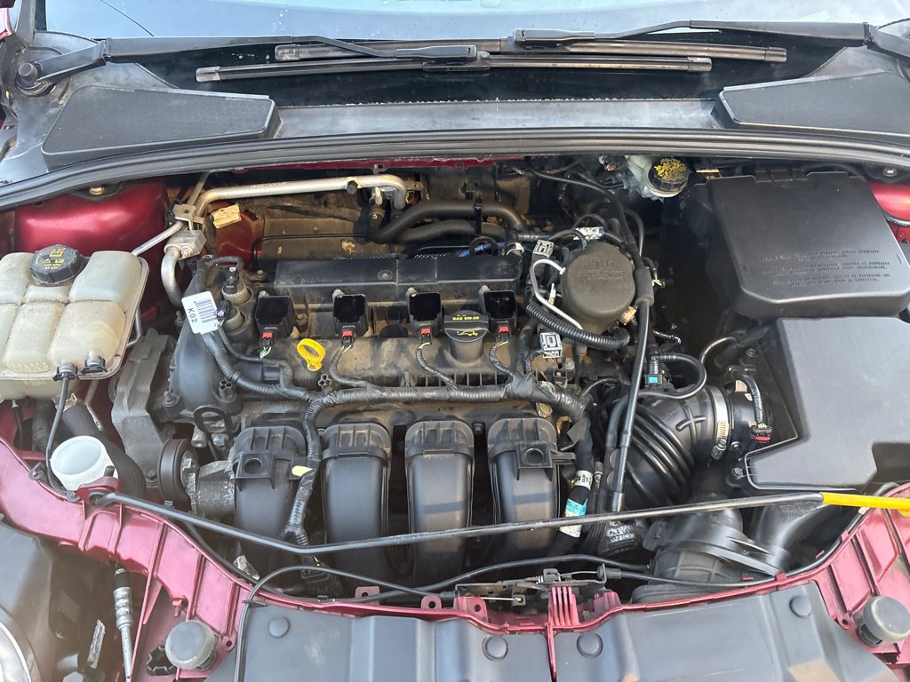 Used 2014 Ford Focus SE w/ SE Winter Package image 18