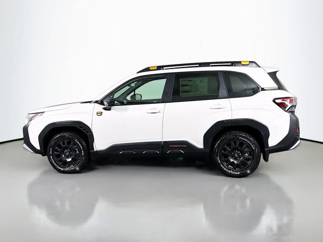 New 2026 Subaru Forester Wilderness video 4