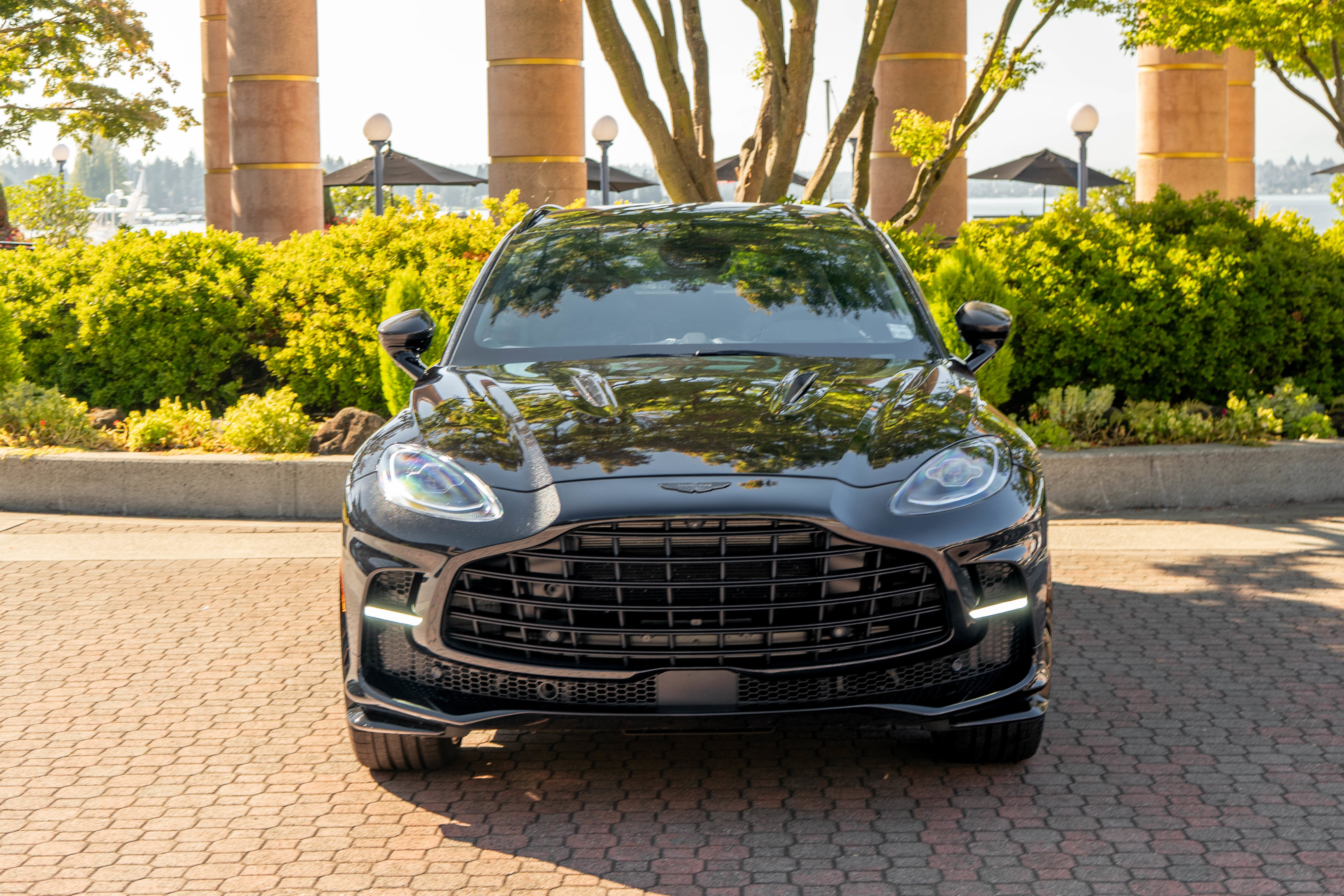 Used 2025 Aston Martin DBX 707 image 6