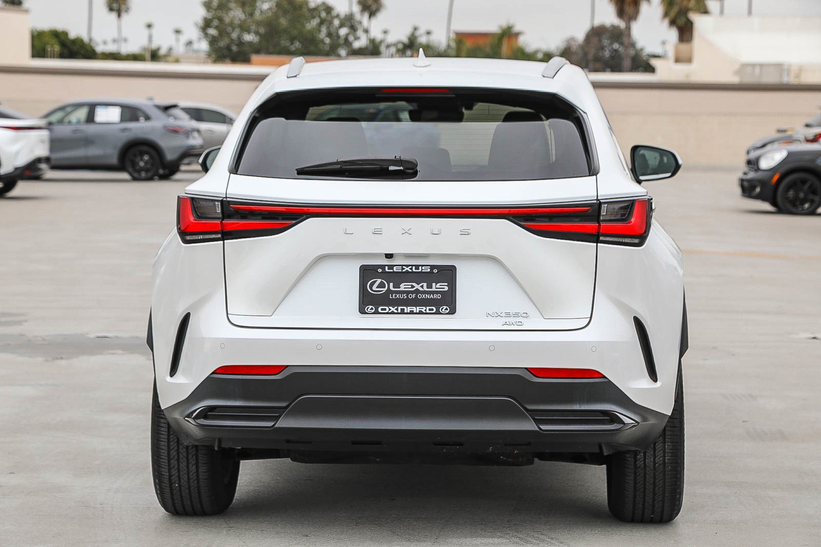 Used 2024 Lexus NX 350 AWD image 6