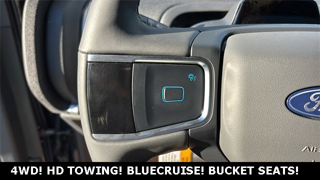 New 2025 Ford Expedition Active image 12