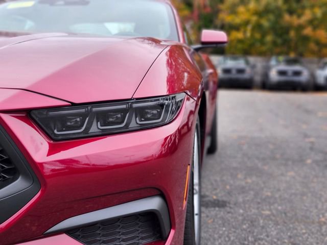 New 2026 Ford Mustang Coupe image 10