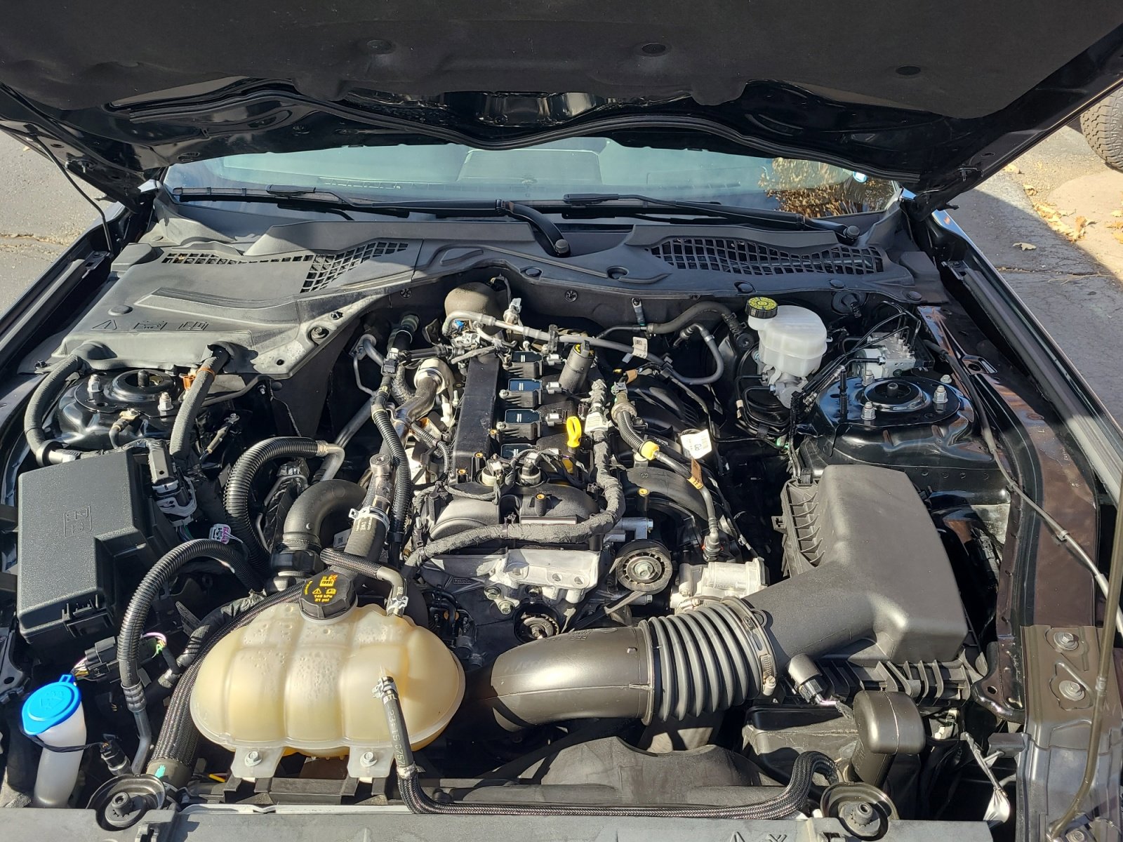 Certified 2022 Ford Mustang Premium image 21