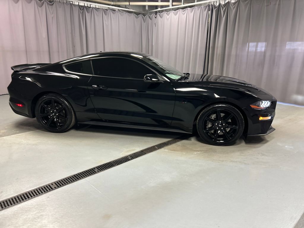 Used 2019 Ford Mustang GT Premium w/ Equipment Group 401A image 8