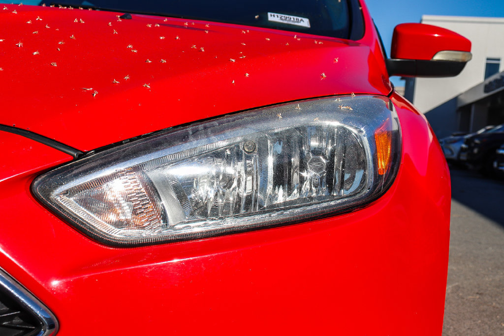 Used 2016 Ford Focus SE w/ SE Sport Package FWD image 4