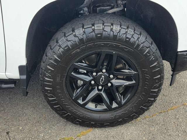 Used 2024 Chevrolet Silverado 1500 LT Trail Boss w/ Protection Package AWD/4WD image 19