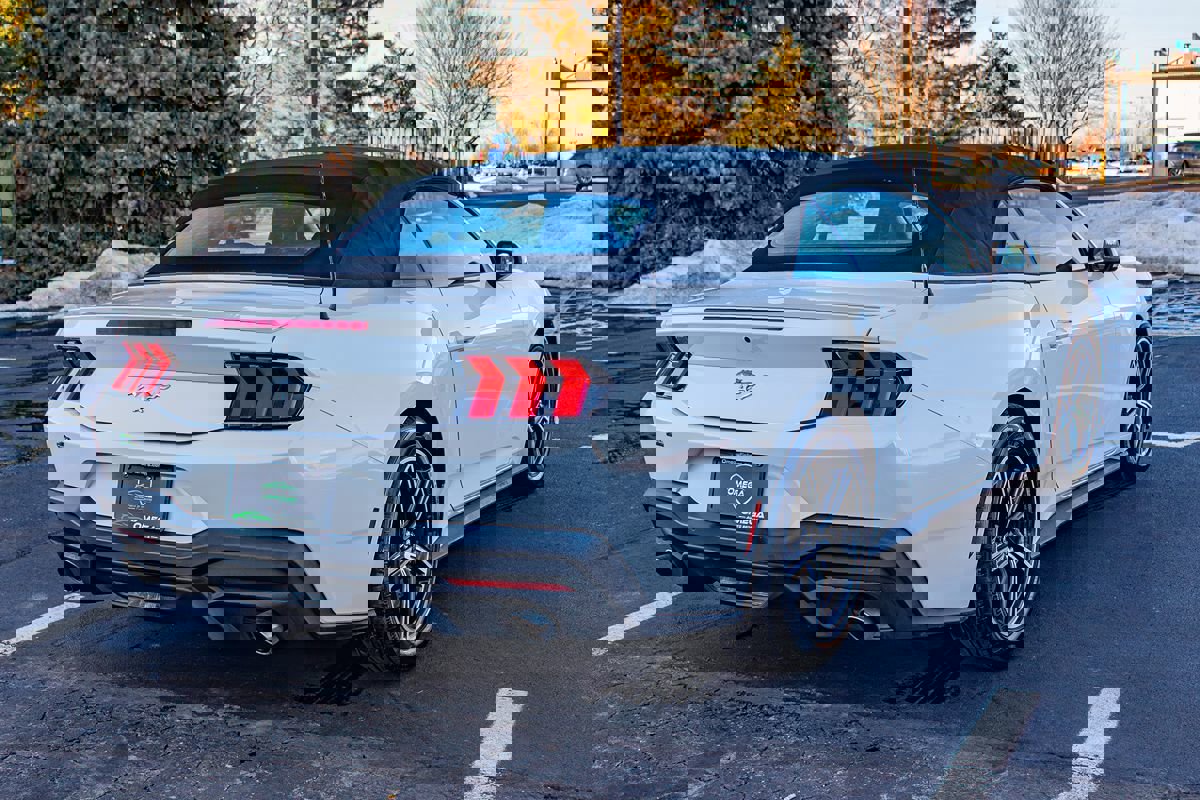 Used 2024 Ford Mustang Premium image 7