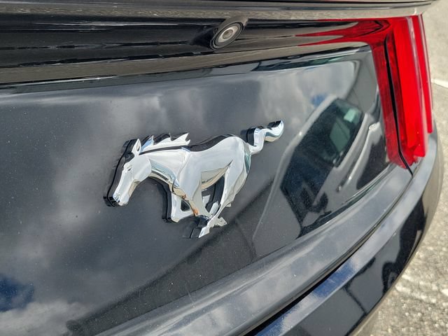 Used 2017 Ford Mustang Premium RWD image 14