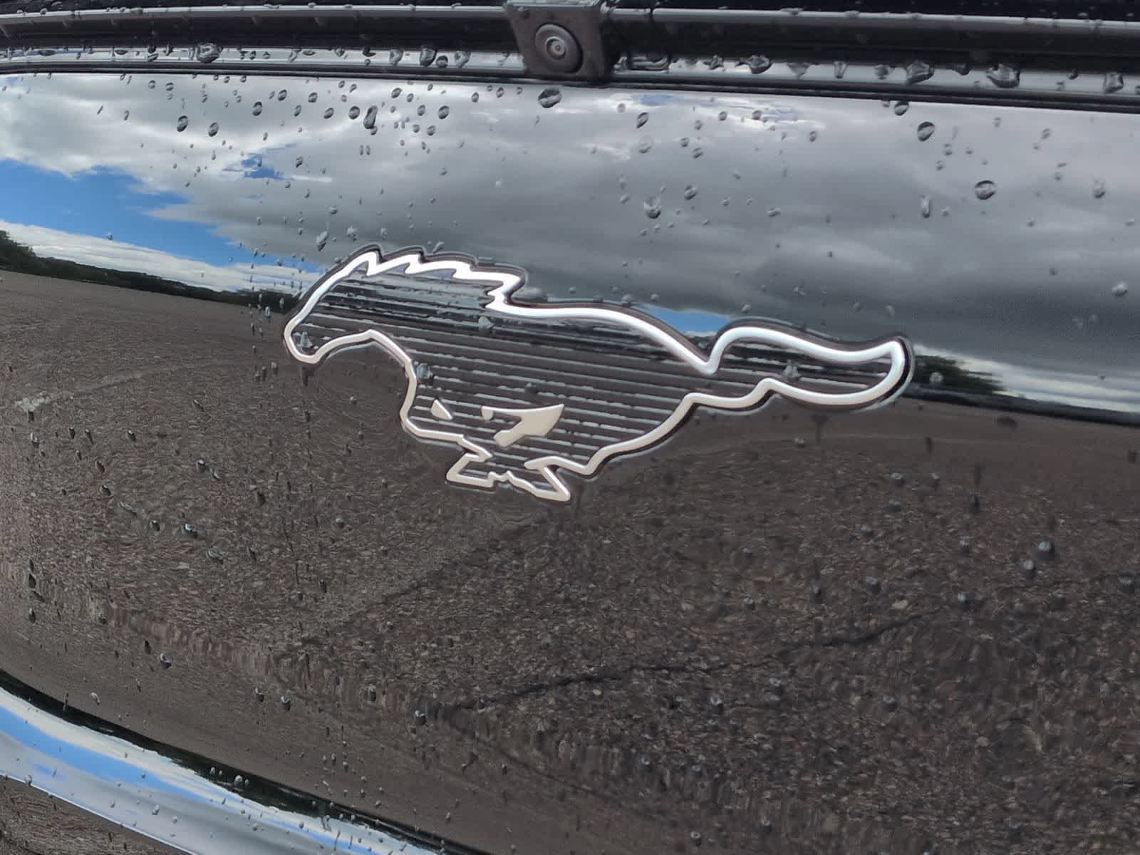 New 2026 Ford Mustang Mach-E Premium w/ Technology Package AWD/4WD image 11