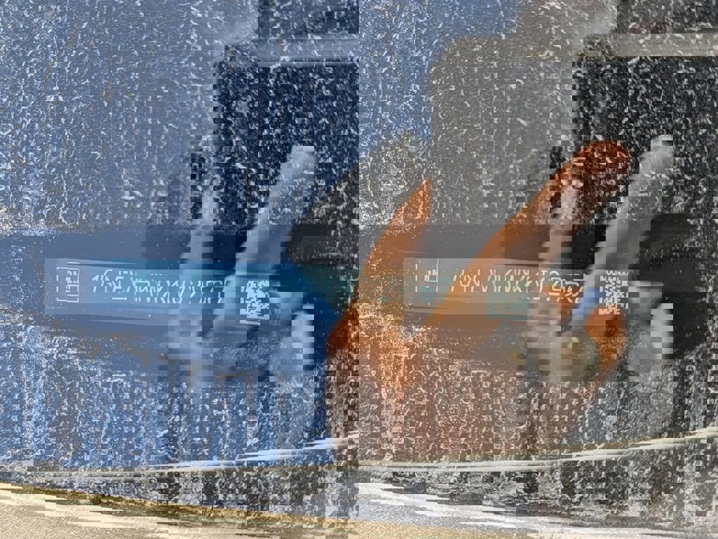 Used 2019 Chevrolet Traverse LT w/ LT Premium Package image 5