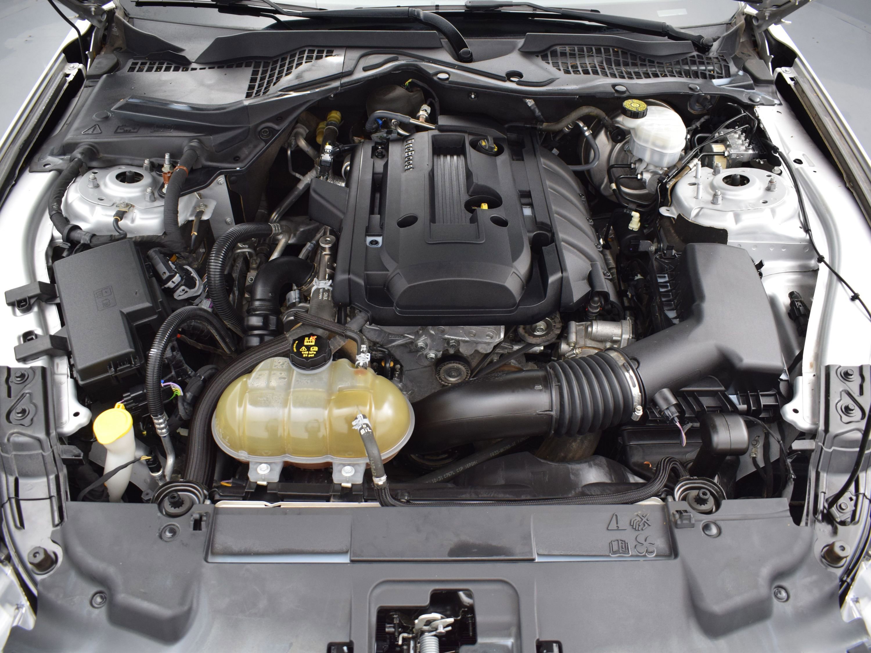 Used 2019 Ford Mustang Premium image 9