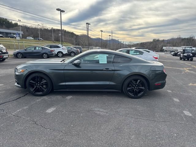 Used 2015 Ford Mustang EcoBoost w/ Ecoboost Performance Package image 5