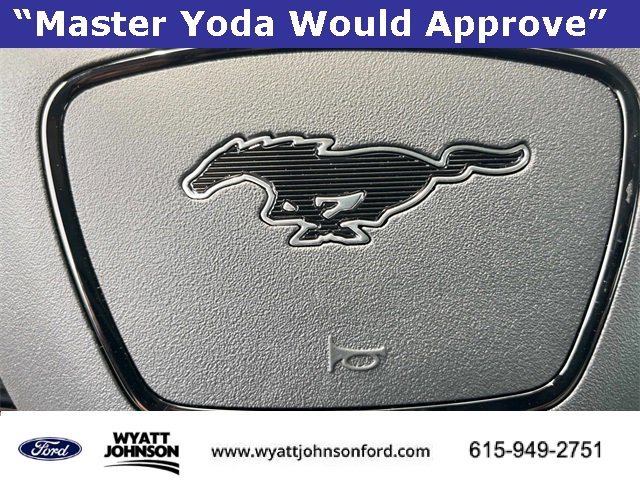 New 2025 Ford Mustang Mach-E Premium w/ Interior Protection Package image 28