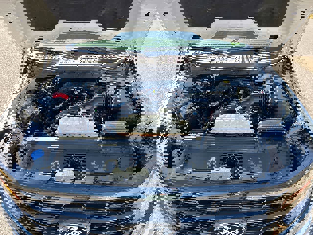 Used 2024 Ford F150 XLT w/ FX4 Off-Road Package image 28