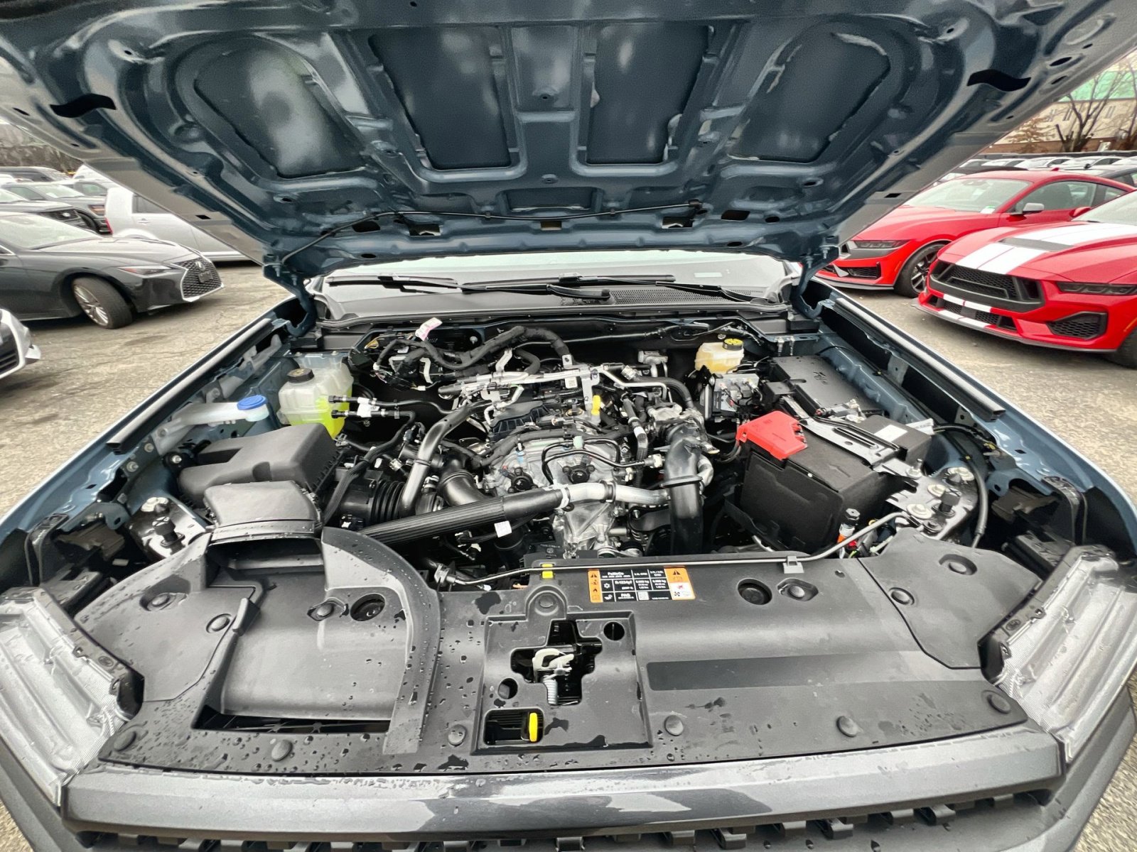 New 2025 Ford Ranger XLT w/ Equipment Group 301A High image 28