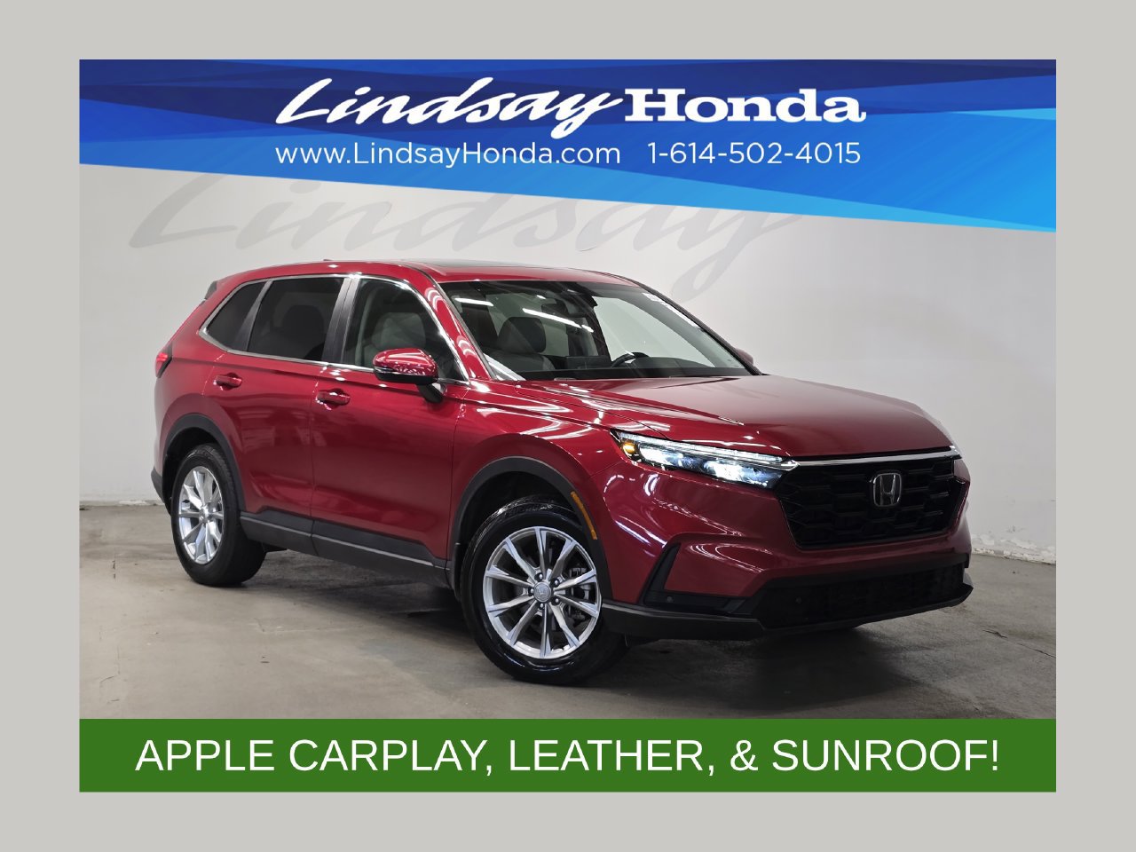 Used 2025 Honda CR-V EX-L image 1