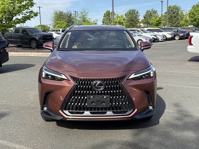 Used 2025 Lexus NX 250 AWD w/ Accessory Package (2T) image 6