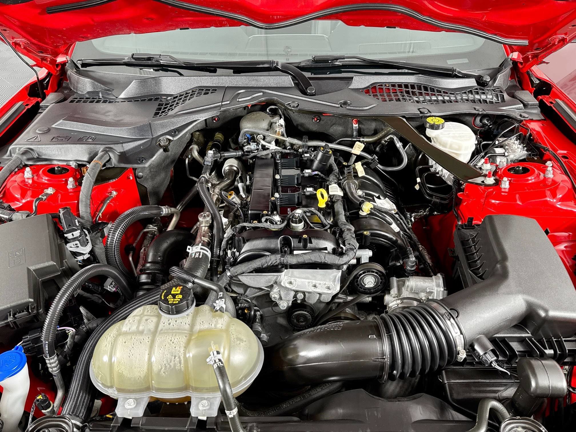 Used 2021 Ford Mustang Premium image 15