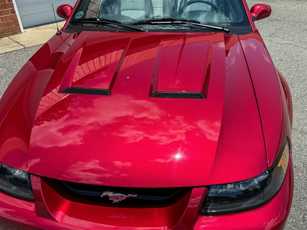 Used 2004 Ford Mustang Cobra RWD image 17