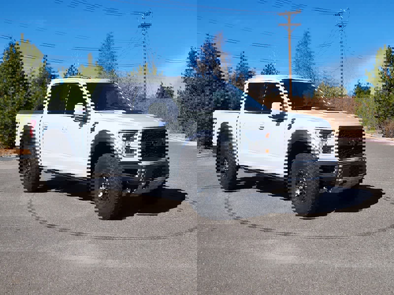 Used 2018 Ford F150 Raptor w/ Equipment Group 802A Luxury image 3