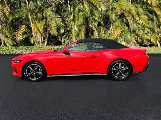 Used 2024 Ford Mustang Premium image 8