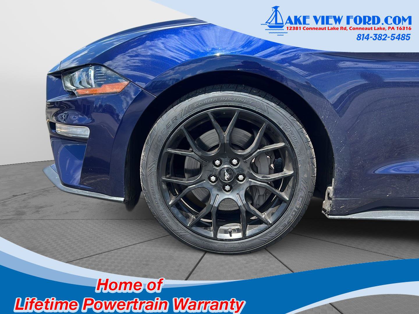 Used 2018 Ford Mustang Premium w/ Ecoboost Performance Package RWD image 4