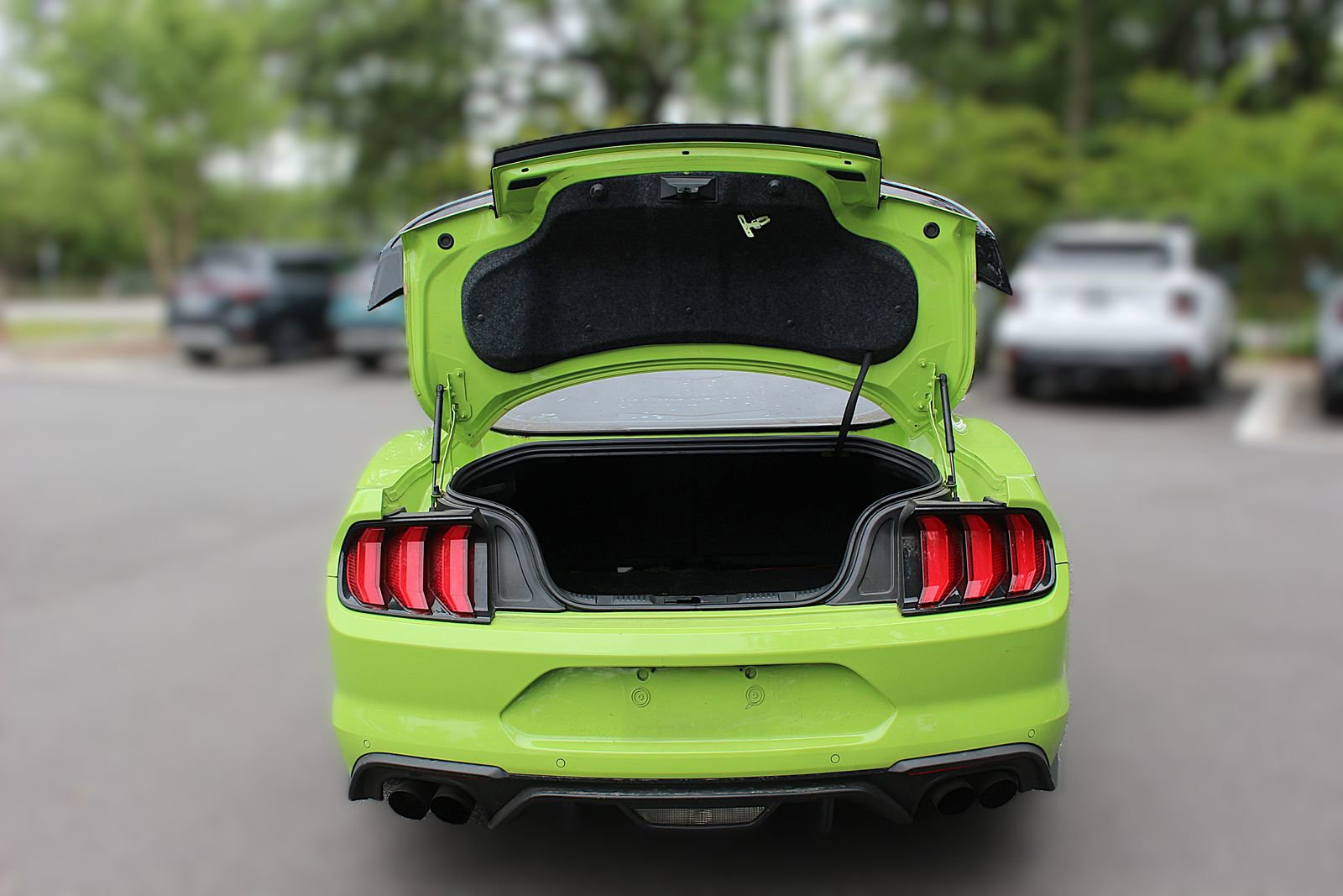 Used 2020 Ford Mustang Premium w/ Equipment Group 201A RWD image 8