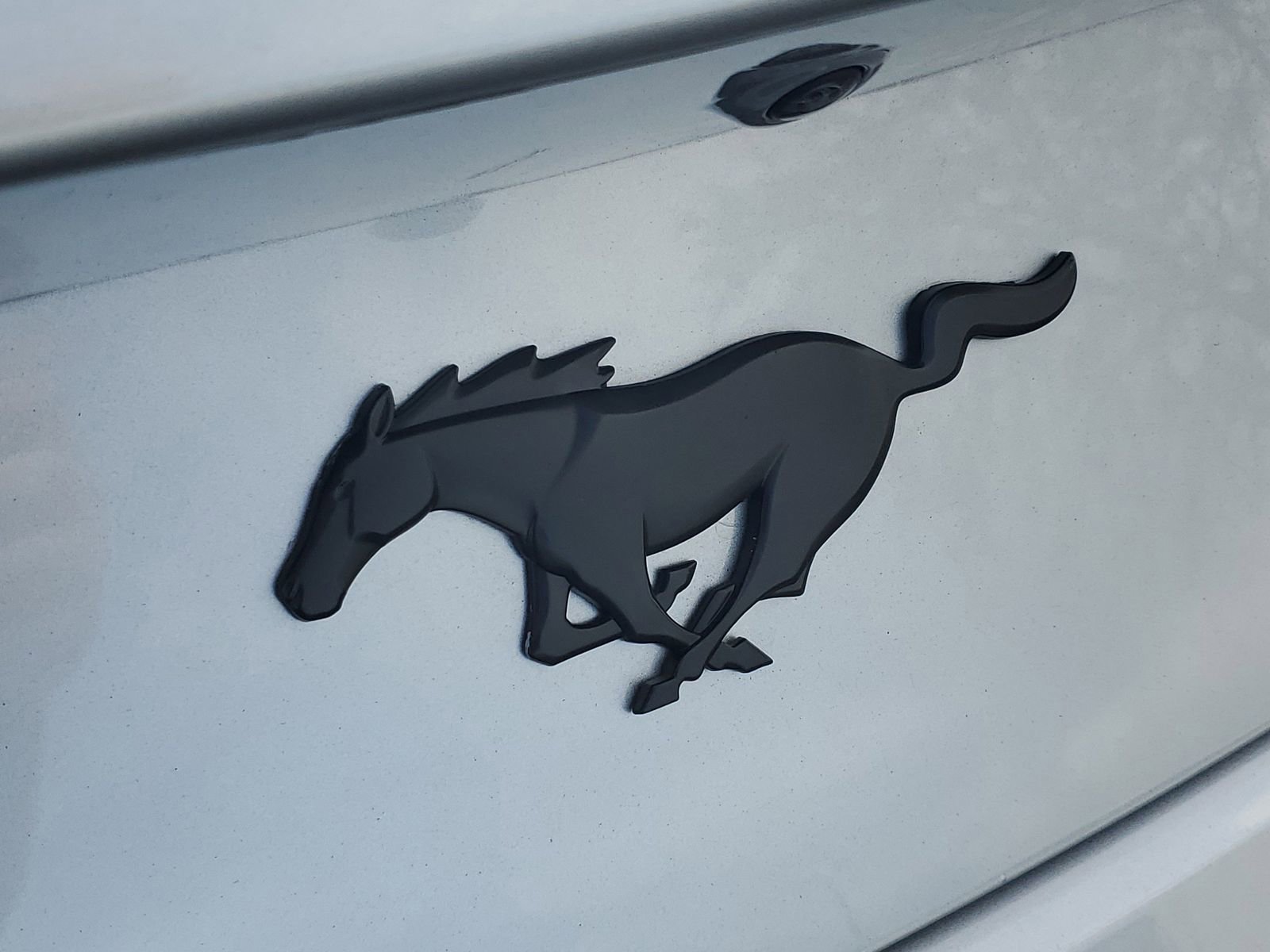 Used 2024 Ford Mustang Premium image 6