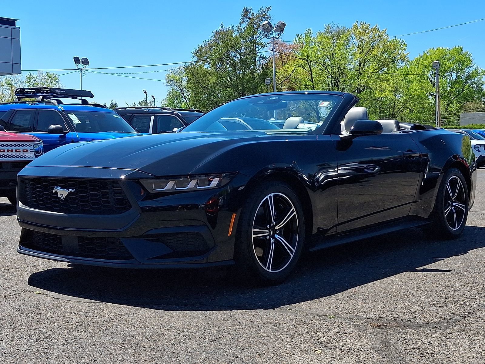 Used 2024 Ford Mustang Premium RWD image 4