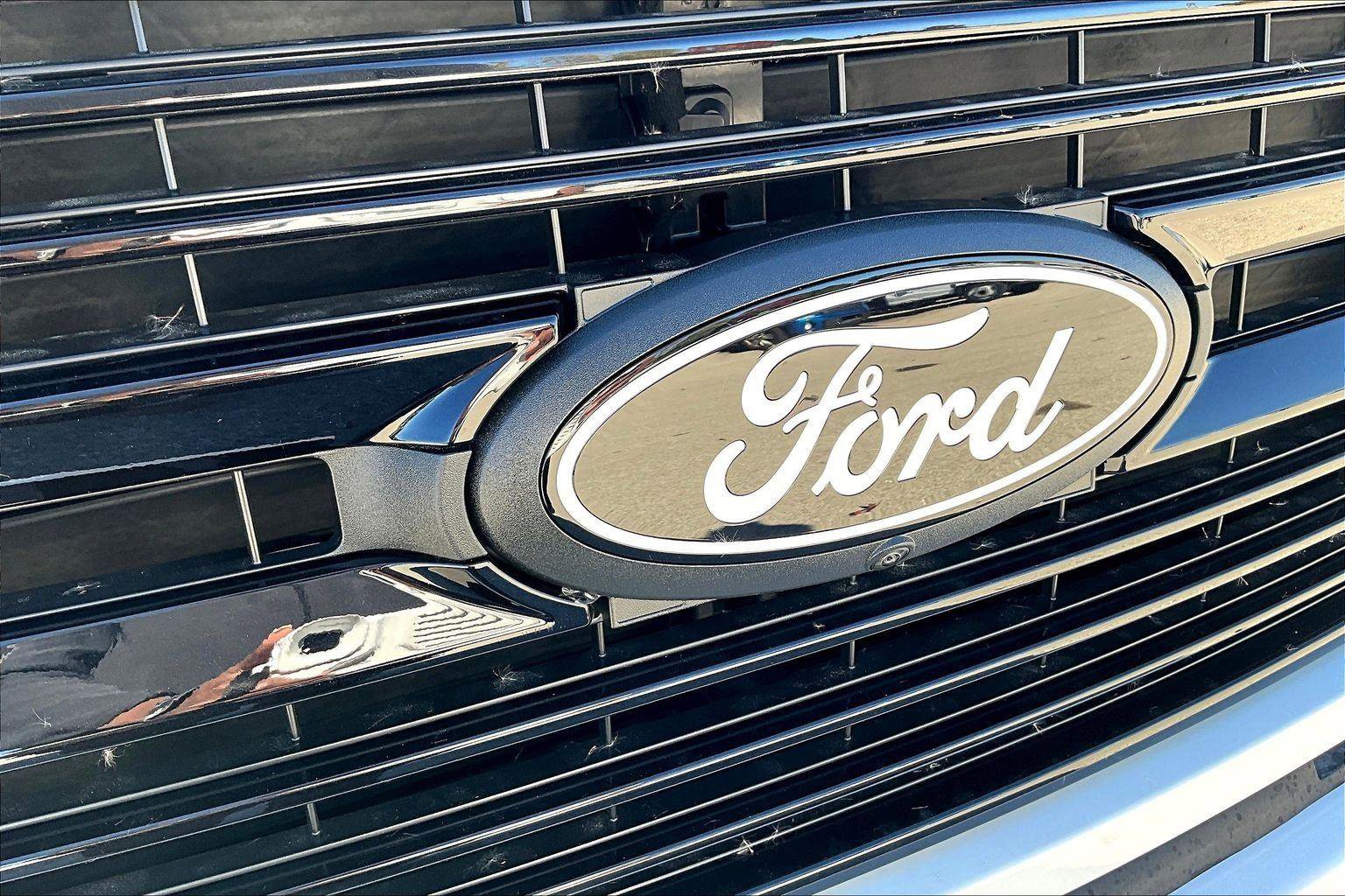 New 2025 Ford F150 Platinum image 24