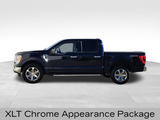 Certified 2022 Ford F150 XLT w/ Equipment Group 302A High image 7