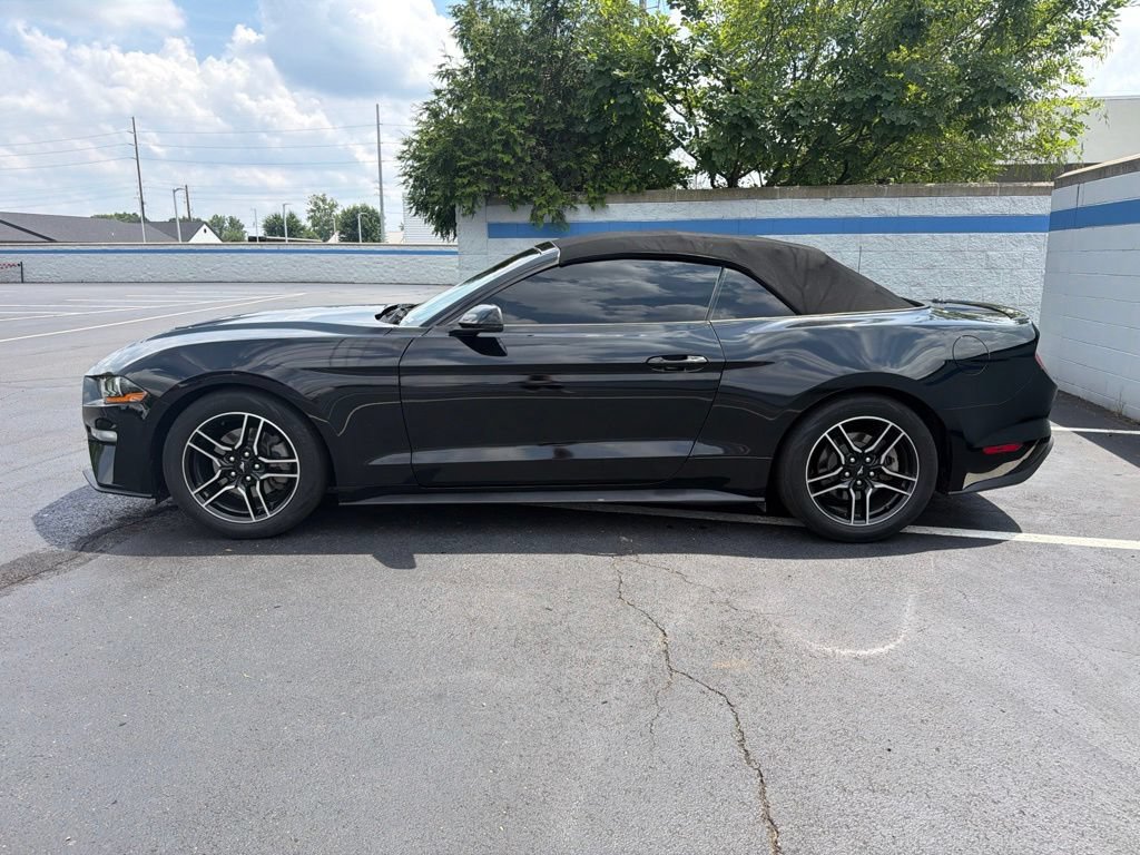 Used 2020 Ford Mustang Premium RWD image 2