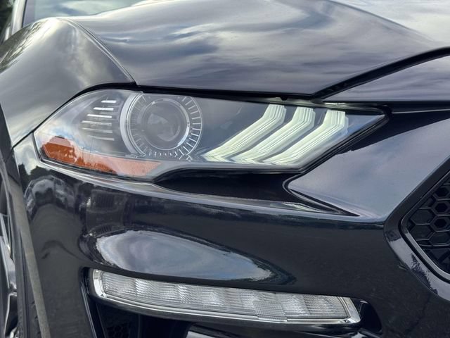 Used 2023 Ford Mustang Coupe w/ Equipment Group 101A RWD image 14