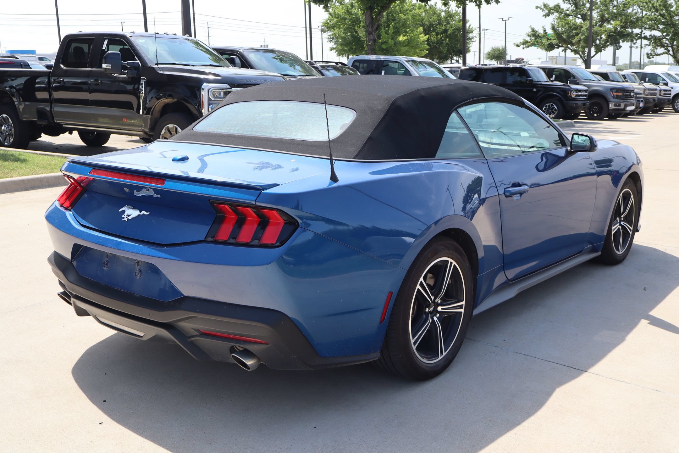 Certified 2024 Ford Mustang Premium RWD image 3
