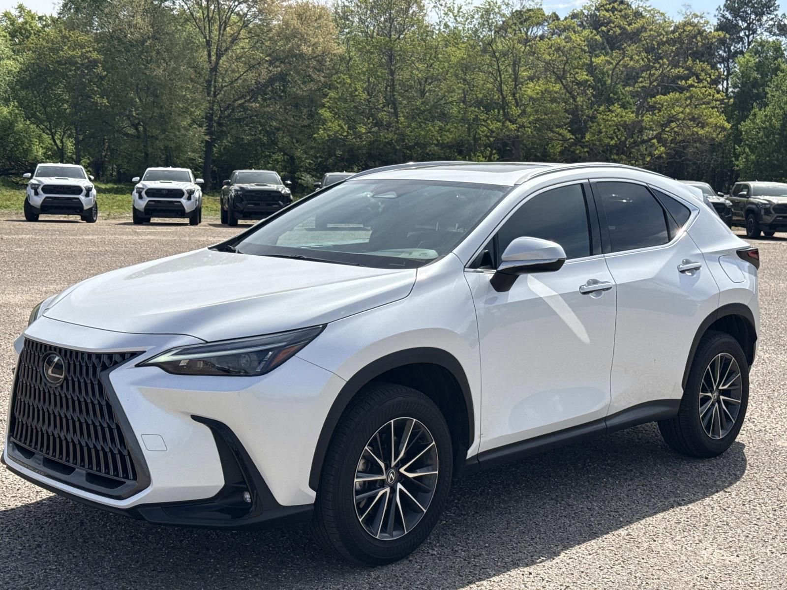 Used 2024 Lexus NX 250 FWD w/ Cold Area Package image 7