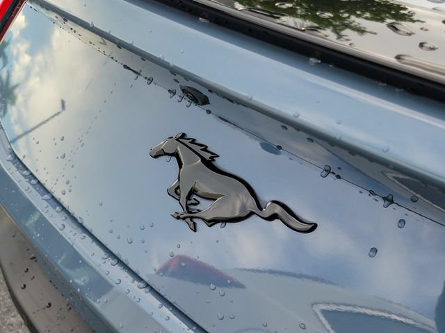 Certified 2024 Ford Mustang Premium w/ Mustang Nite Pony Package RWD image 5