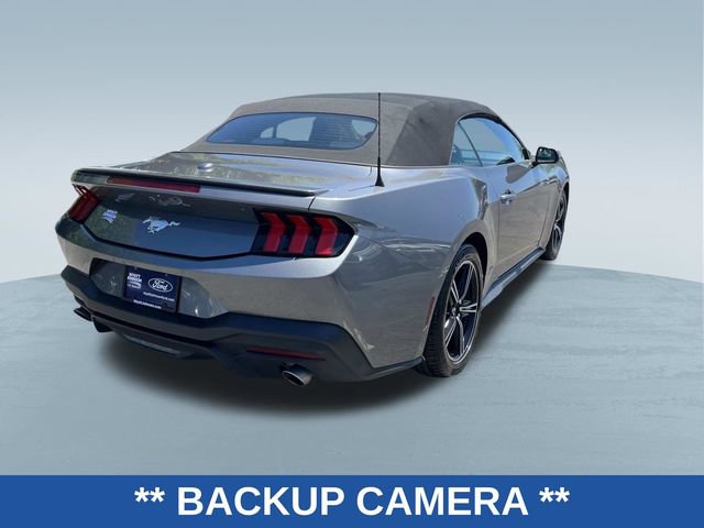 Used 2024 Ford Mustang Premium RWD image 3