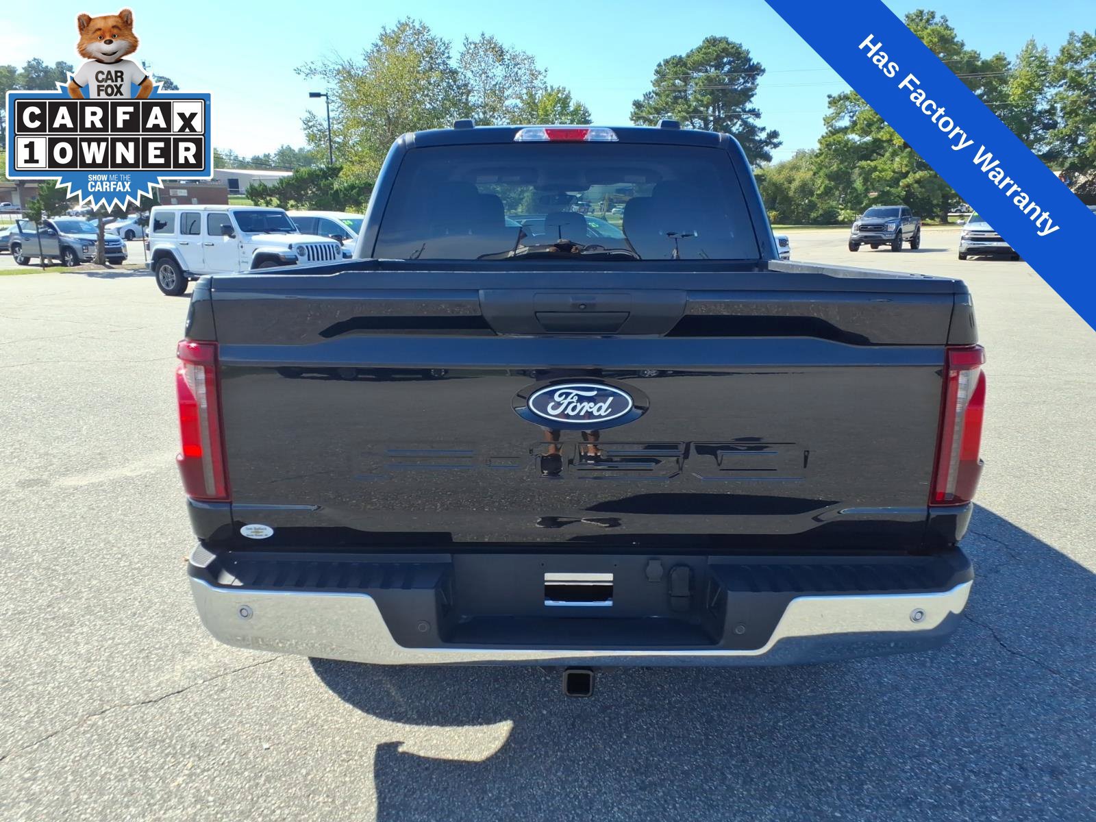 Used 2025 Ford F150 XLT w/ Equipment Group 301A Standard RWD image 4
