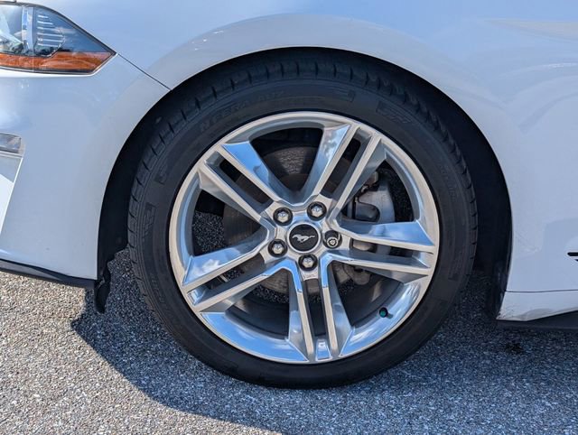 Certified 2021 Ford Mustang Premium w/ Equipment Group 201A image 4