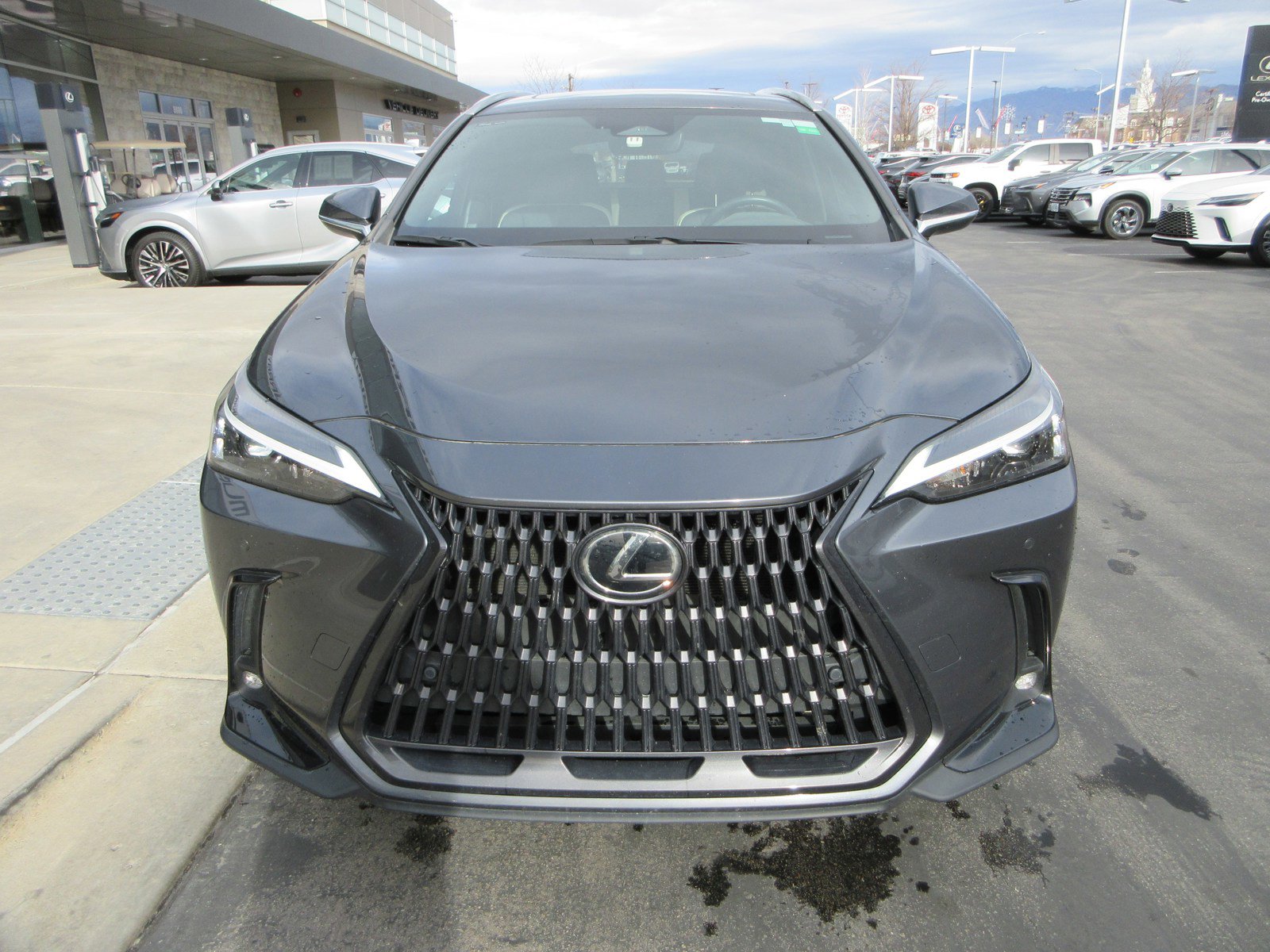 Used 2023 Lexus NX 250 FWD w/ Premium Package image 14