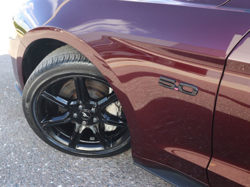 Used 2018 Ford Mustang GT Premium w/ Equipment Group 401A RWD image 3