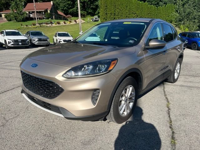 Used 2020 Ford Escape SE AWD/4WD image 10