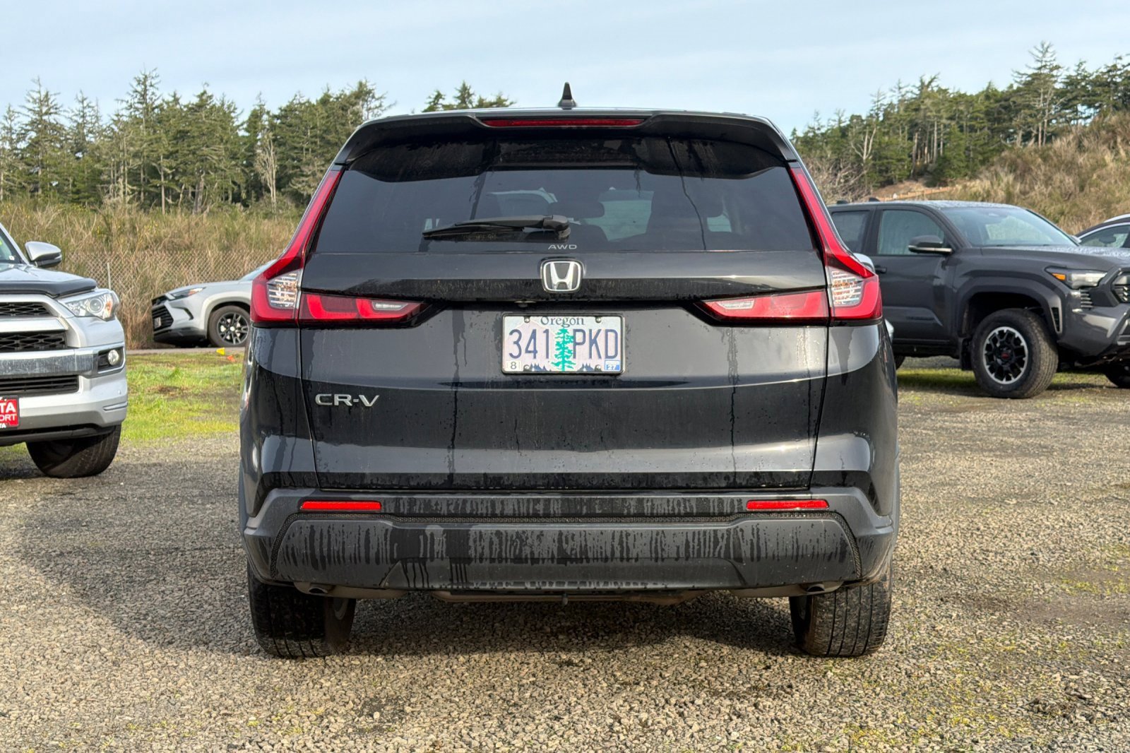 Used 2023 Honda CR-V EX image 5