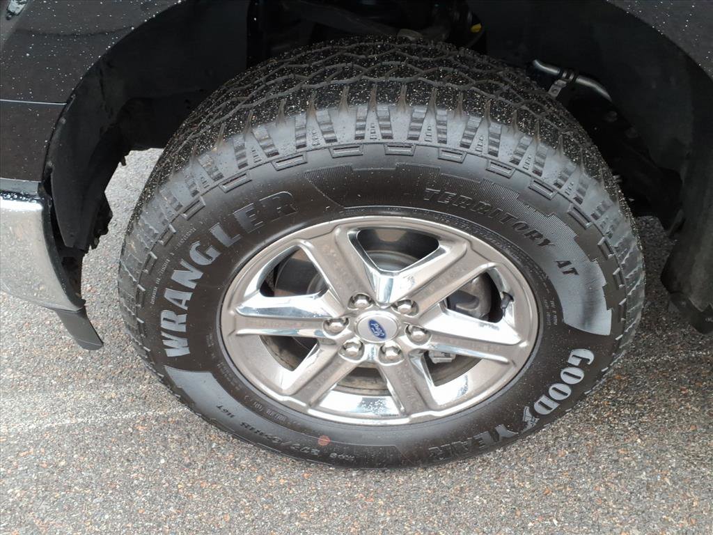 Used 2025 Ford F150 XLT w/ Equipment Group 301A Standard AWD/4WD image 4
