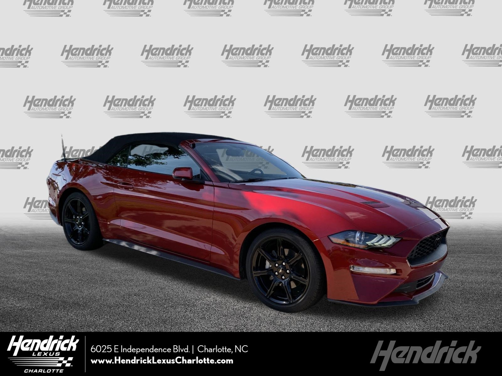 Used 2019 Ford Mustang Premium w/ Equipment Group 201A