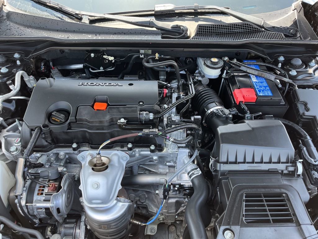 Certified 2024 Honda Civic Sport image 13