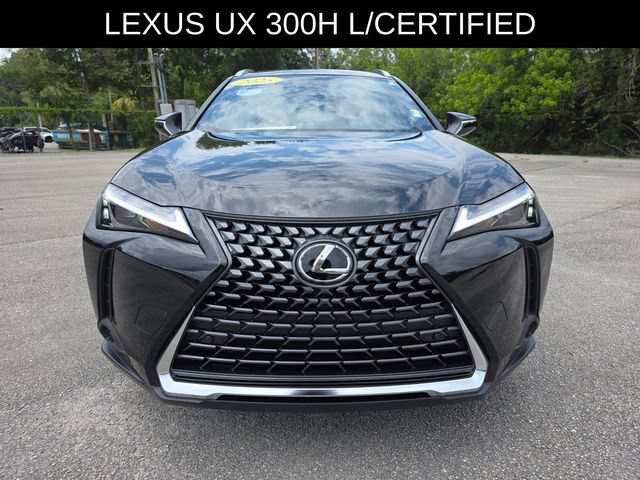 Used 2025 Lexus UX 300h FWD w/ Cold Area Package image 8