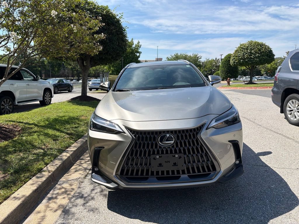 Certified 2026 Lexus NX 350h AWD w/ Cold Area Package image 3