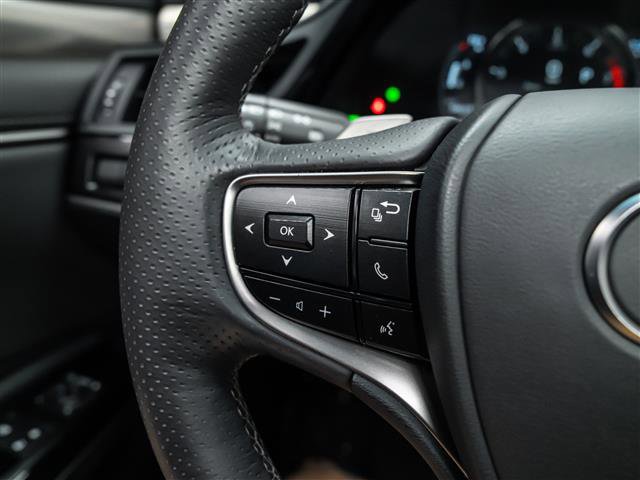 Used 2023 Lexus ES 350 F Sport w/ Accessory Package (Z2) image 18